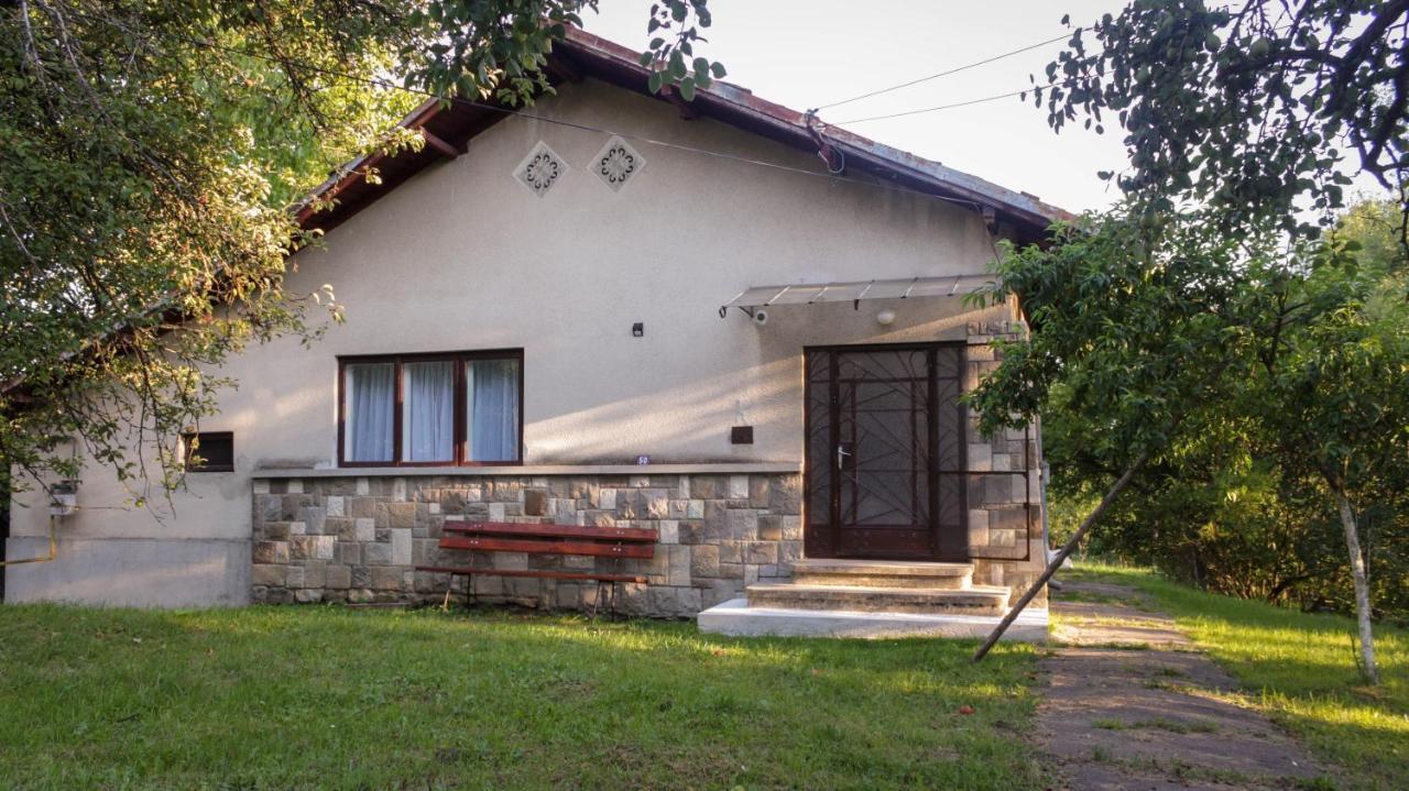 Casa Rurala Cu Livada Lavandra Campina Exterior foto