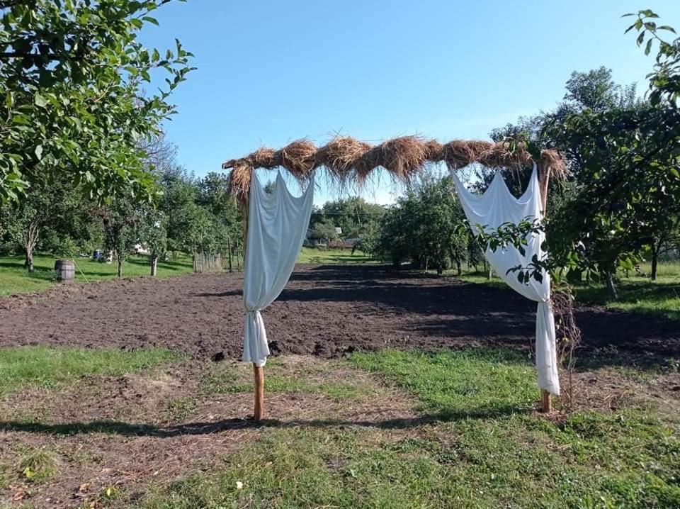 Casa Rurala Cu Livada Lavandra Campina Exterior foto
